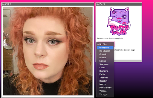 purrybooth filter